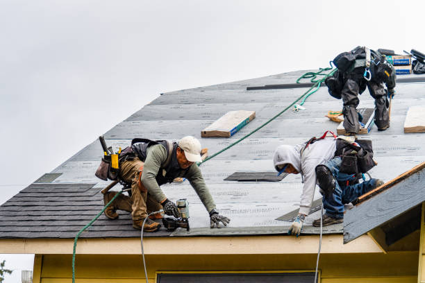 Professional Storm Damage Roof Repair technician working in Tioga Center, NY